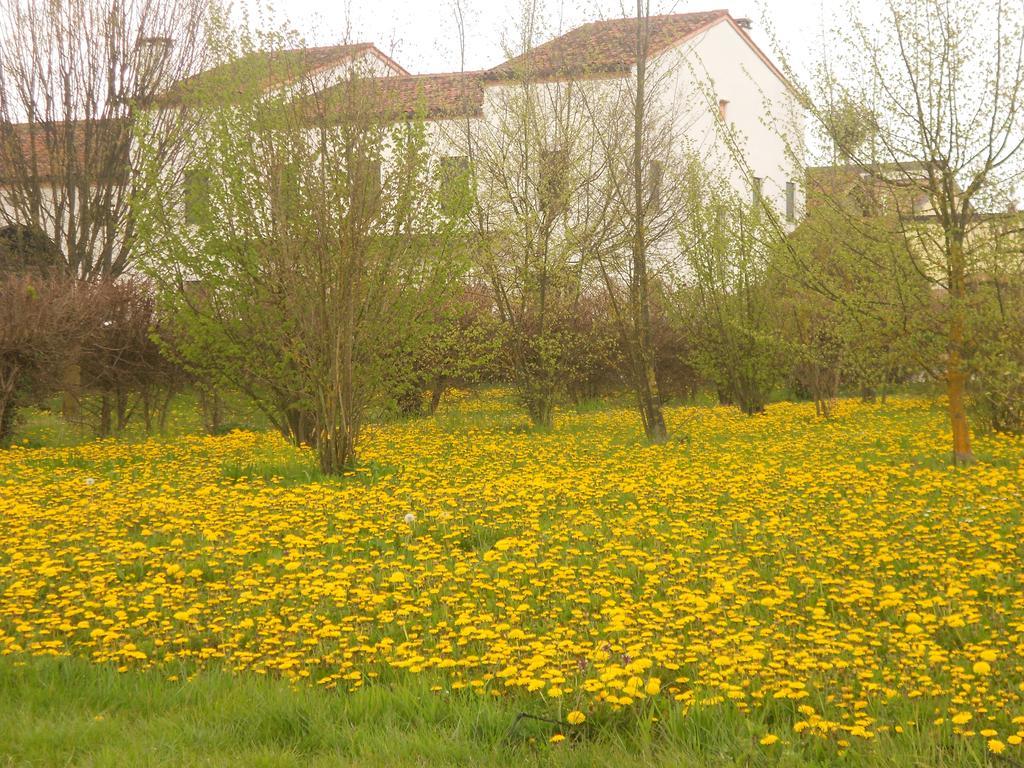 Villa Gaudio Ponte San Nicolò Buitenkant foto